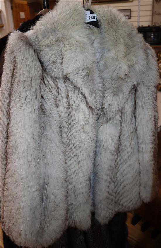 A half length silver fox coat